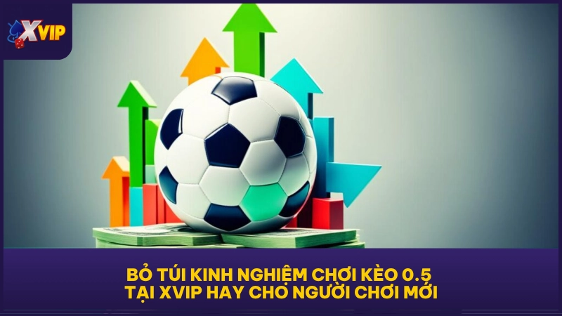Kèo Chấp 0.5 - Cách Đọc Chuẩn Cho Tình Huống Cụ Thể 5 Bỏ túi kinh nghiệm chơi kèo 0.5 tại XVIP hay cho người chơi mới