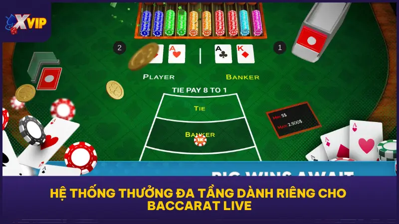 Game Bài Baccarat Live Tại XVIP79 Chuẩn Casino Chơi Là Mê 5 Baccarat Live tại XVIP79 còn tích hợp loạt cơ chế thưởng theo chuỗi và thành tích