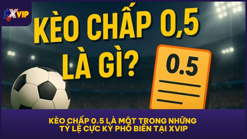Kèo Chấp 0.5 - Cách Đọc Chuẩn Cho Tình Huống Cụ Thể 2 Kèo chấp 0.5 là một trong những tỷ lệ cực kỳ phổ biến tại XVIP
