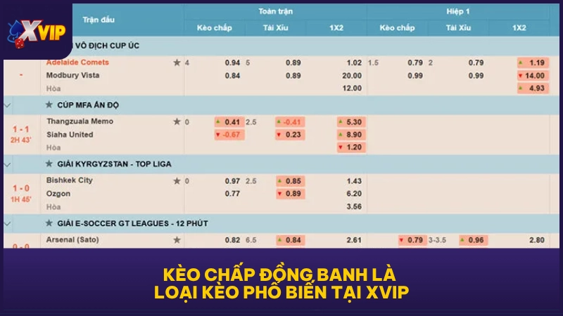 Kèo Chấp Đồng Banh - Cách Đọc Và Tính Tiền Chuẩn Nhất 2 Kèo chấp đồng banh là loại kèo phổ biến tại XVIP