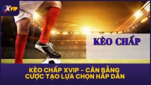 Kèo Chấp XVIP - Cân Bằng Cược Tạo Lựa Chọn Hấp Dẫn