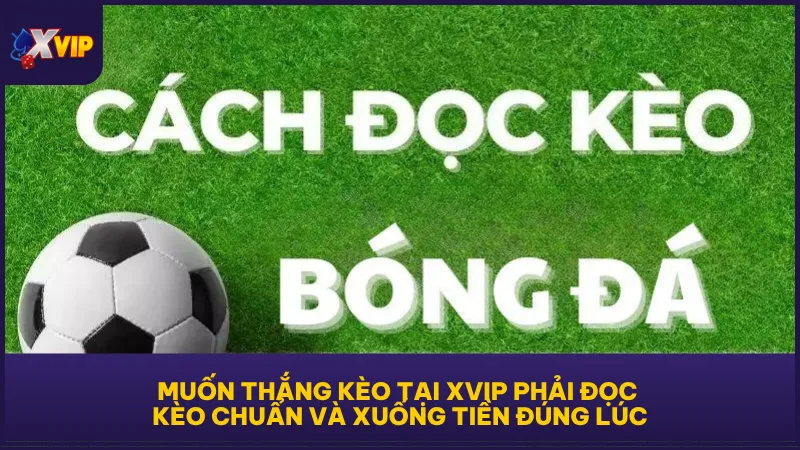 Muốn thắng kèo tại XVIP phải đọc kèo chuẩn và xuống tiền đúng lúc