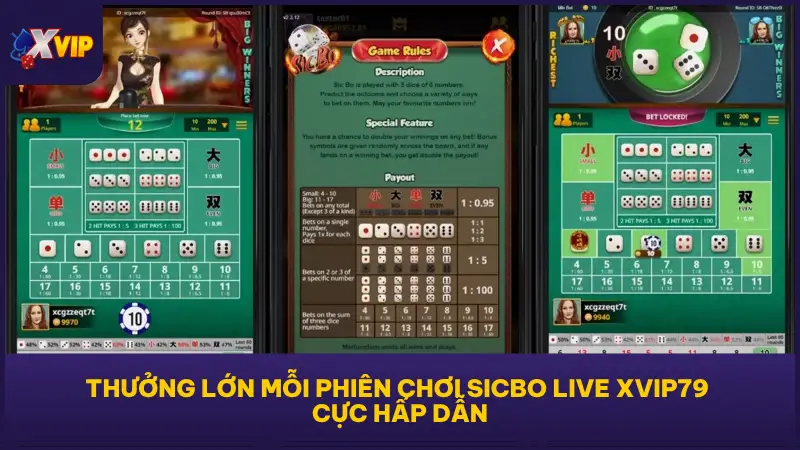 Sicbo Live Tại XVIP79 - Cược Thật Tay, Nhận Thưởng Mỗi Ngày 5 Sicbo Live tại XVIP79 trả thưởng liên tục nhờ cơ chế nhiệm vụ và combo chuỗi thắng