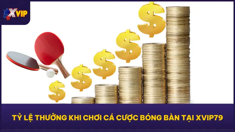 Cá Cược Bóng Bàn Tại XVIP79 Tỷ Lệ Cực Đẹp Ăn Tiền Cực Dễ 5 Thưởng hấp dẫn dành riêng cho cá cược bóng bàn tại XVIP79