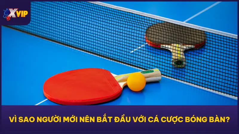 Cá Cược Bóng Bàn Tại XVIP79 Tỷ Lệ Cực Đẹp Ăn Tiền Cực Dễ 2 Cá cược bóng bàn tại XVIP79 là lựa chọn rất phù hợp để khởi đầu