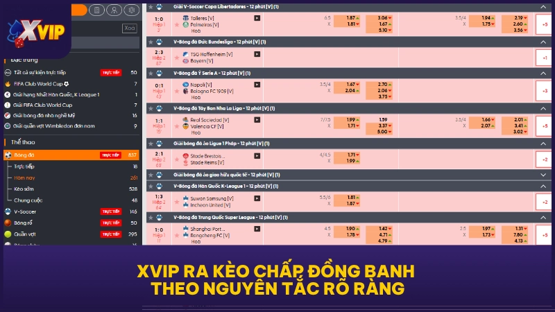 Kèo Chấp Đồng Banh - Cách Đọc Và Tính Tiền Chuẩn Nhất 4 XVIP ra kèo chấp đồng banh theo nguyên tắc rõ ràng